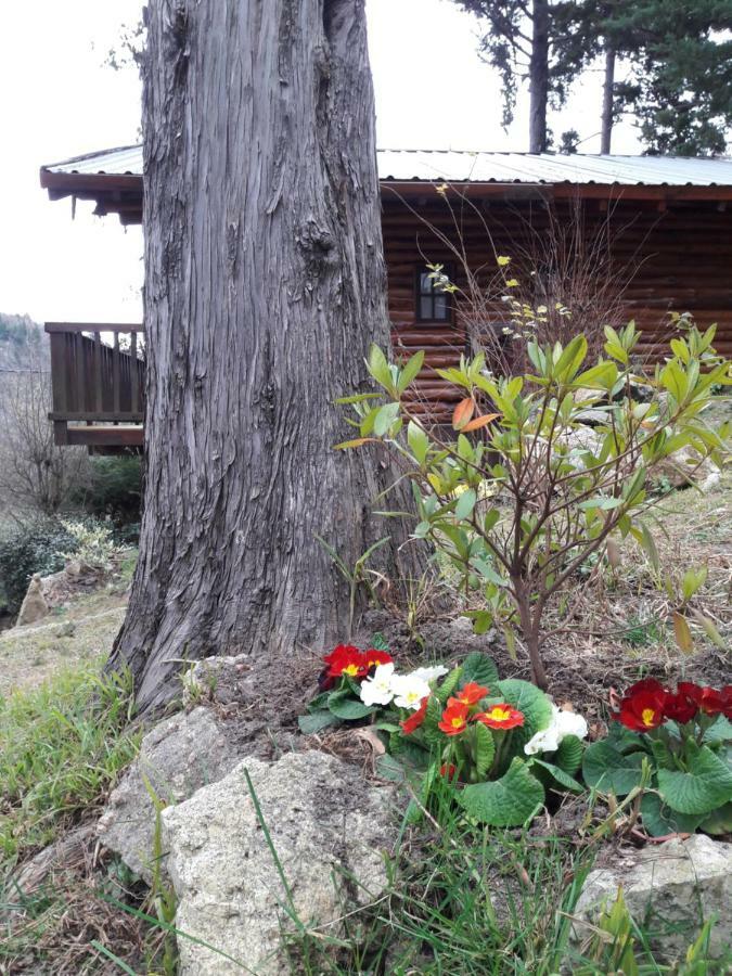 Cerro Cumbrecita Willa La Cumbrecita Zewnętrze zdjęcie